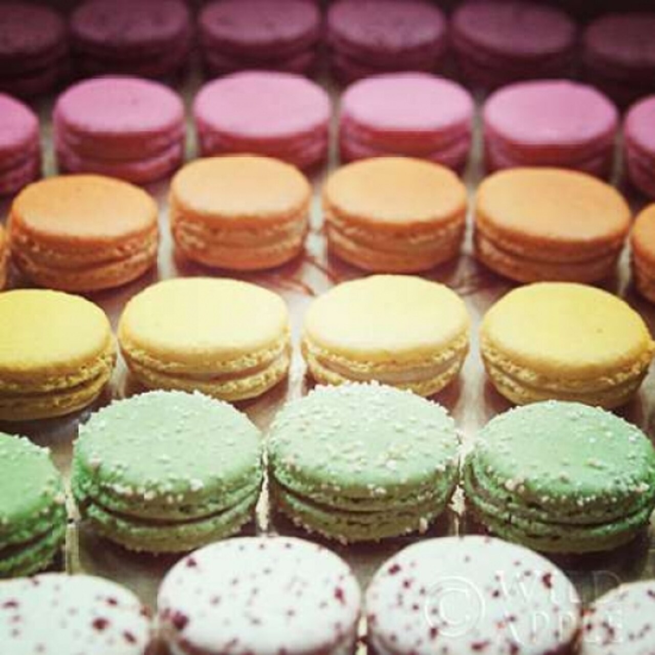 Paris Moments VIII Poster Print by Laura Marshall - Item # VARPDX25896